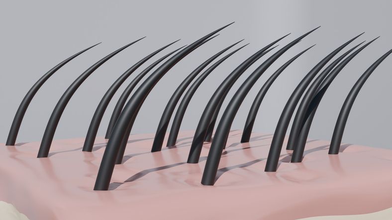 頭髮長多快？拆解頭髮長得慢的7大元兇！2個實用方法判斷頭髮長得快或慢！5個加速頭髮生長攻略！