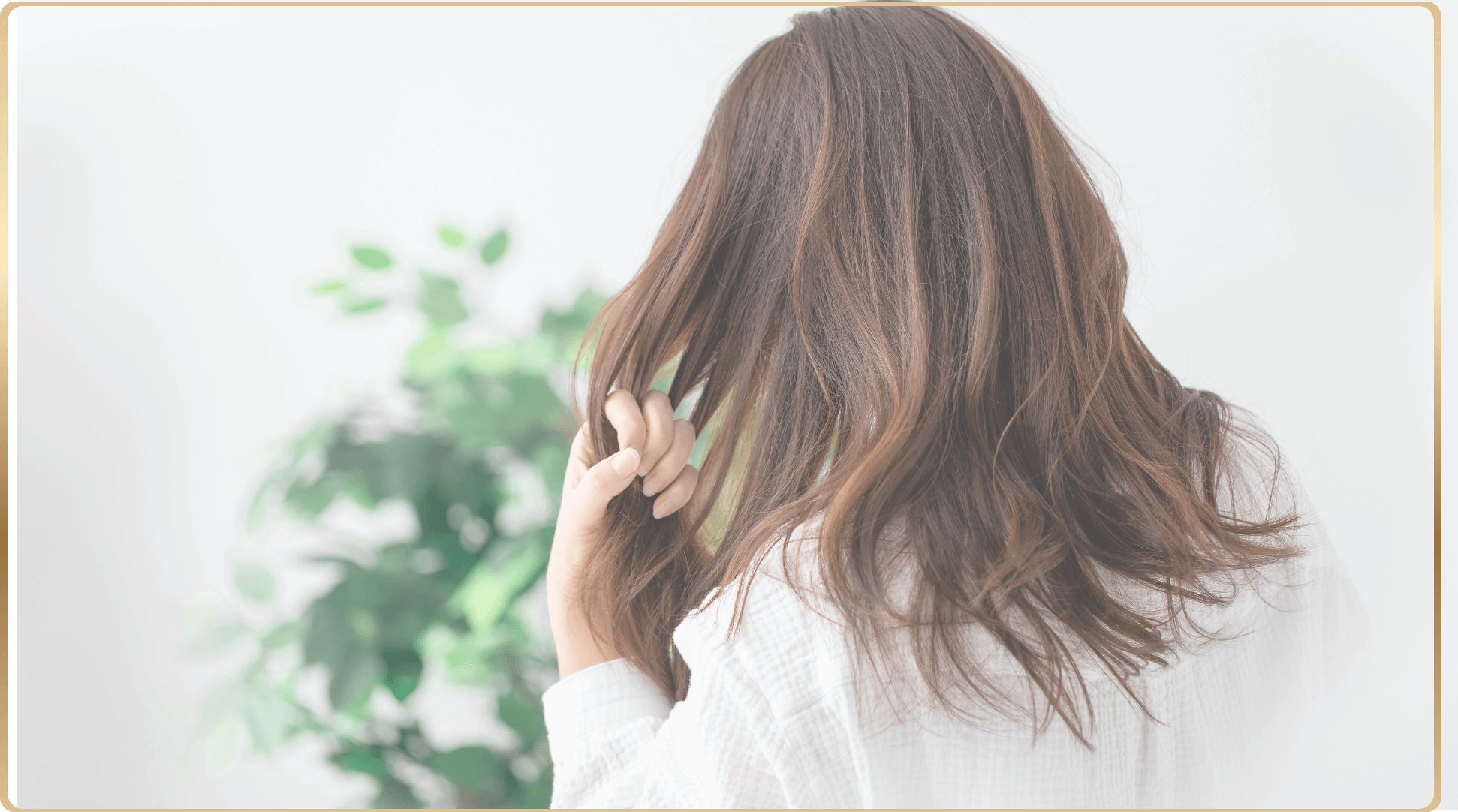 美國頭皮及毛囊檢測